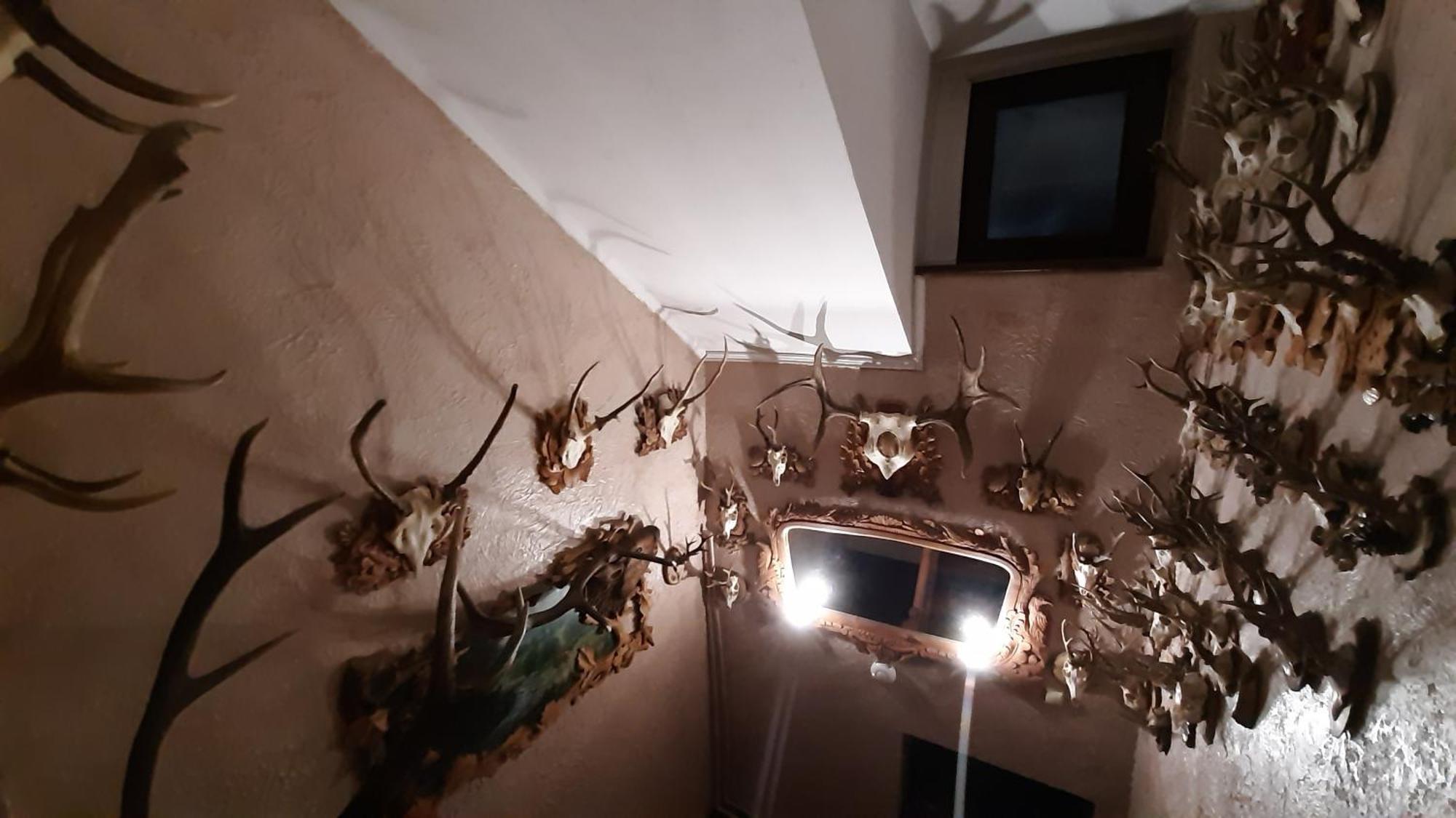 Appartamento Затишок В Карпатах Skole Esterno foto